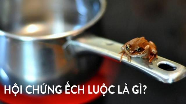 Hội chứng ếch luộc, chúng ta đang bị “nấu chín” mà không hay biết