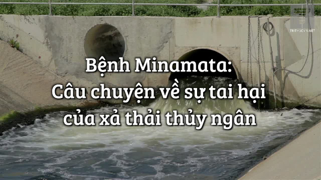 Bệnh Minamata: Câu chuyện về sự tai hại của xả thải thủy ngân