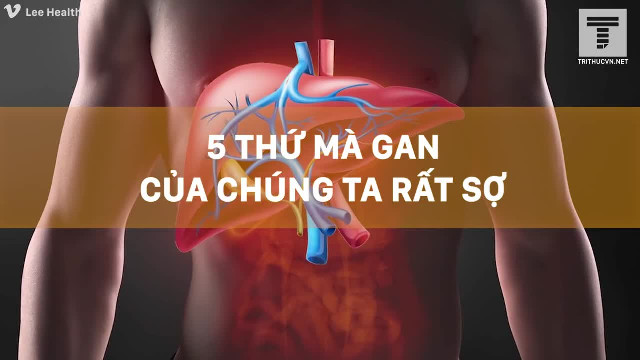 5 thứ mà gan của chúng ta rất sợ