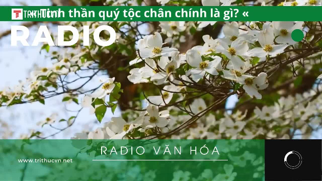 Tinh thần quý tộc chân chính là gì?