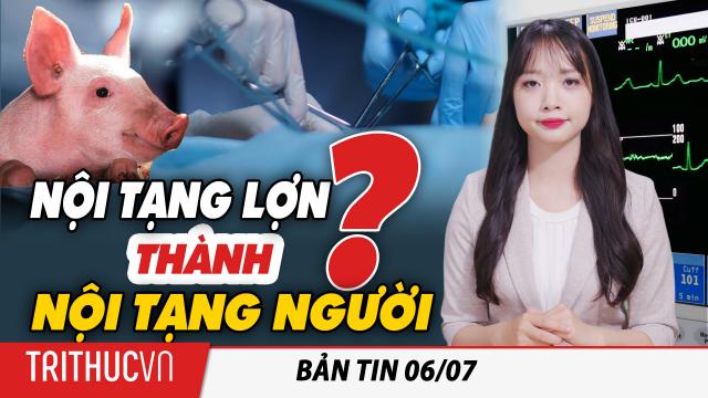 Bản tin 6/7: Trung Quốc sản xuất lợn biến đổi gen để cấy ghép nội tạng cho người | Trí thức VN