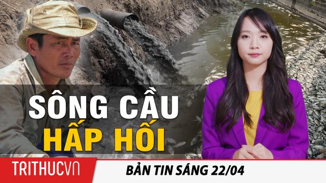 Tin sáng 22/4: Sông Cầu hấp hối, cá chết trắng ao, dân lao đao vì ô nhiễm!