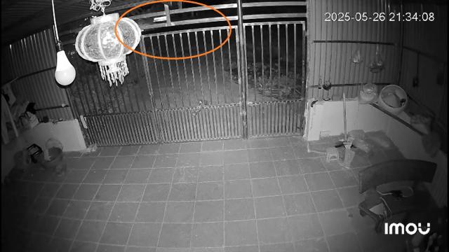 Bắc Kạn Người và xe lao xuống hố tử thần”, mất tích