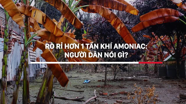 Vụ rò rỉ hơn 1 tấn amoniac: “Nếu vào ban đêm là chết trong giấc ngủ luôn rồi”